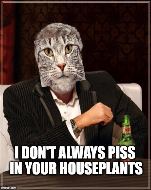 I DON'T ALWAYS PISS IN YOUR HOUSEPLANTS | image tagged in most interesting bad photoshop cat,the most interesting cat in the world,bad cat,wtf cat,piss,first world cat problems | made w/ Imgflip meme maker