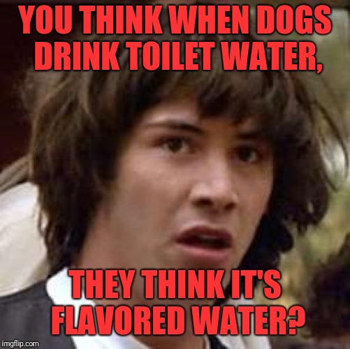 Conspiracy Keanu Meme | YOU THINK WHEN DOGS DRINK TOILET WATER, THEY THINK IT'S FLAVORED WATER? | image tagged in memes,conspiracy keanu | made w/ Imgflip meme maker