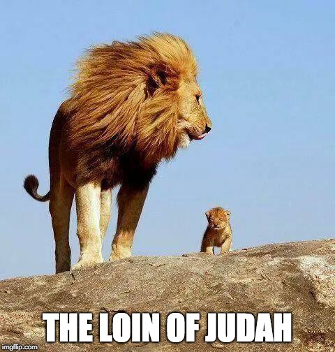 The loin  | THE LOIN OF JUDAH | image tagged in christian | made w/ Imgflip meme maker