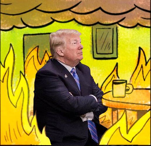 Trump This Is Fine Blank Template Imgflip