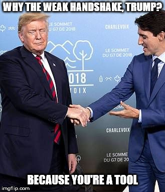 WHY THE WEAK HANDSHAKE, TRUMP? BECAUSE YOU'RE A TOOL | image tagged in trump | made w/ Imgflip meme maker