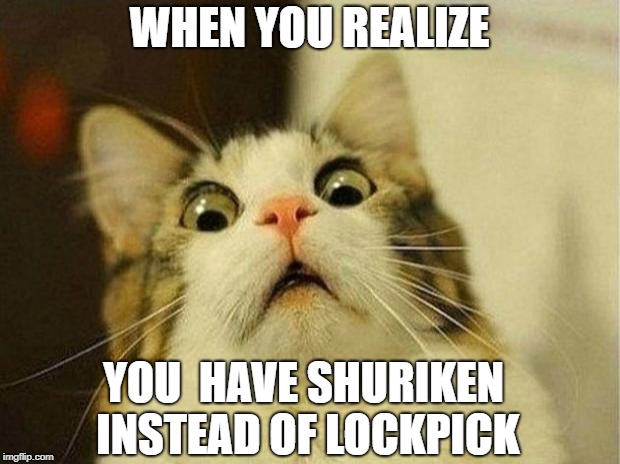 Scared Cat Meme | WHEN YOU REALIZE; YOU  HAVE SHURIKEN INSTEAD OF LOCKPICK | image tagged in memes,scared cat | made w/ Imgflip meme maker