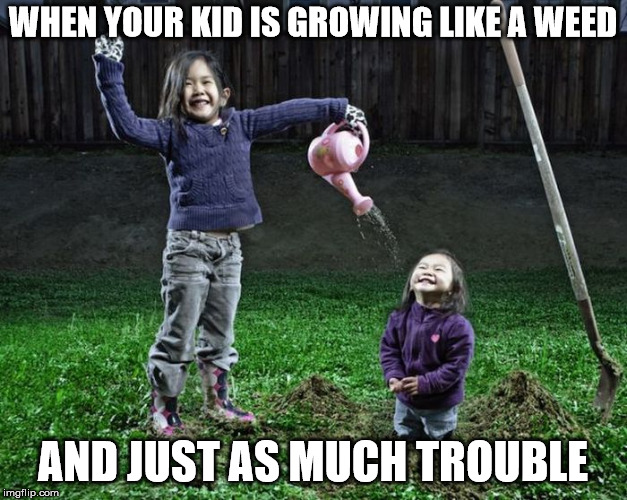 I used to say this about my kids | WHEN YOUR KID IS GROWING LIKE A WEED; AND JUST AS MUCH TROUBLE | image tagged in parenting,kids,growing up | made w/ Imgflip meme maker