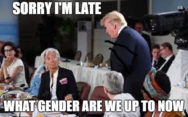 SORRY I'M LATE; WHAT GENDER ARE WE UP TO NOW | image tagged in snowflake omelet | made w/ Imgflip meme maker