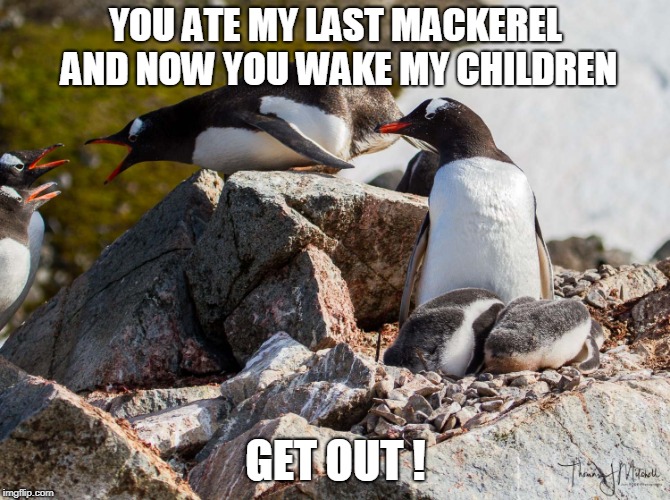 YOU ATE MY LAST MACKEREL AND NOW YOU WAKE MY CHILDREN; GET OUT ! | made w/ Imgflip meme maker