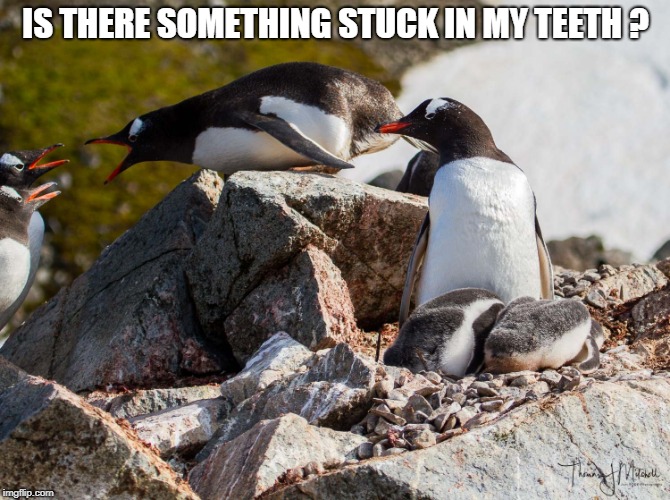 IS THERE SOMETHING STUCK IN MY TEETH ? | made w/ Imgflip meme maker