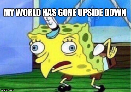 Mocking Spongebob Meme | MY WORLD HAS GONE UPSIDE DOWN | image tagged in memes,mocking spongebob | made w/ Imgflip meme maker