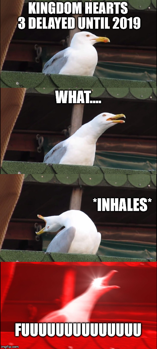 Inhaling Seagull | KINGDOM HEARTS 3 DELAYED UNTIL 2019; WHAT.... *INHALES*; FUUUUUUUUUUUUUU | image tagged in memes,inhaling seagull | made w/ Imgflip meme maker