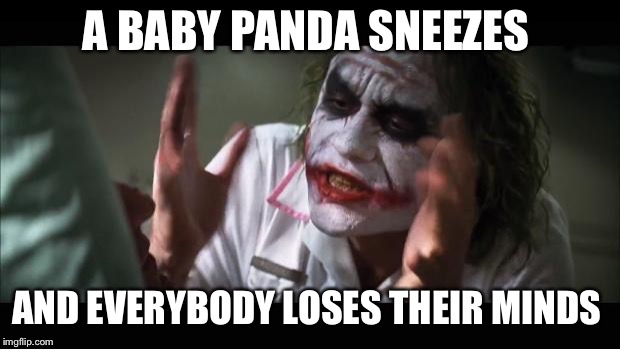 Baby panda sneezes | A BABY PANDA SNEEZES; AND EVERYBODY LOSES THEIR MINDS | image tagged in memes,and everybody loses their minds | made w/ Imgflip meme maker