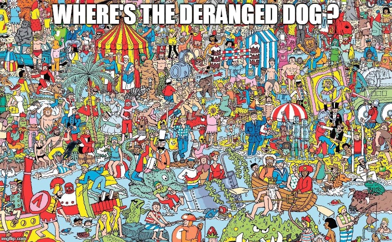 WHERE'S THE DERANGED DOG ? | made w/ Imgflip meme maker