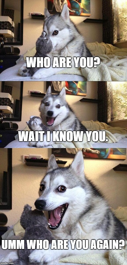 Bad Pun Dog | WHO ARE YOU? WAIT I KNOW YOU. UMM WHO ARE YOU AGAIN? | image tagged in memes,bad pun dog | made w/ Imgflip meme maker