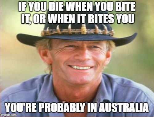 IF YOU DIE WHEN YOU BITE IT, OR WHEN IT BITES YOU YOU'RE PROBABLY IN AUSTRALIA | made w/ Imgflip meme maker