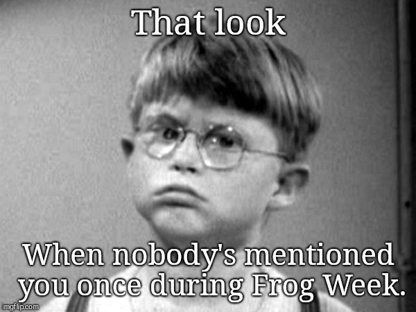 That look; When nobody's mentioned you once during Frog Week. | image tagged in billy froggy laughlin,frog week | made w/ Imgflip meme maker