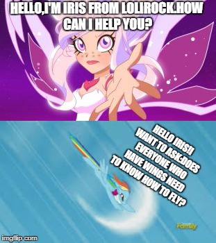 Lolirock met My Little Pony | HELLO,I'M IRIS FROM LOLIROCK.HOW CAN I HELP YOU? HELLO IRIS!I WANT TO ASK:DOES EVERYONE WHO HAVE WINGS NEED TO KNOW HOW TO FLY? | image tagged in memes,lolirock,rainbow dash,my little pony | made w/ Imgflip meme maker