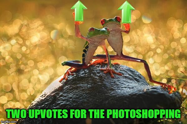 TWO UPVOTES FOR THE PHOTOSHOPPING | made w/ Imgflip meme maker