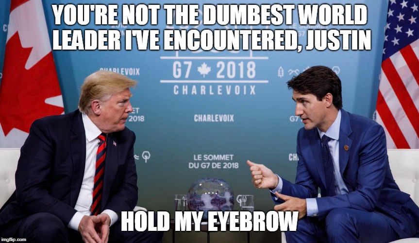 YOU'RE NOT THE DUMBEST WORLD LEADER I'VE ENCOUNTERED, JUSTIN; HOLD MY EYEBROW | image tagged in justin trudeau | made w/ Imgflip meme maker