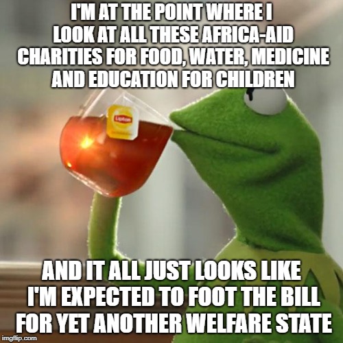 But That's None Of My Business Meme | I'M AT THE POINT WHERE I LOOK AT ALL THESE AFRICA-AID CHARITIES FOR FOOD, WATER, MEDICINE AND EDUCATION FOR CHILDREN; AND IT ALL JUST LOOKS LIKE I'M EXPECTED TO FOOT THE BILL FOR YET ANOTHER WELFARE STATE | image tagged in memes,but thats none of my business,kermit the frog | made w/ Imgflip meme maker