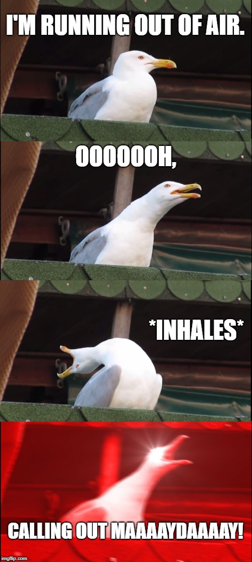 Inhaling Seagull | I'M RUNNING OUT OF AIR. OOOOOOH, *INHALES*; CALLING OUT MAAAAYDAAAAY! | image tagged in memes,inhaling seagull | made w/ Imgflip meme maker