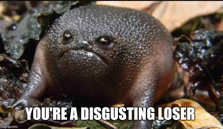Grumpy Frog | YOU'RE A DISGUSTING LOSER | image tagged in grumpy frog | made w/ Imgflip meme maker