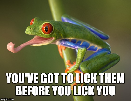 YOU'VE GOT TO LICK THEM BEFORE YOU LICK YOU | made w/ Imgflip meme maker