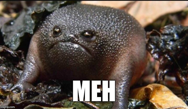 Grumpy Frog | MEH | image tagged in grumpy frog | made w/ Imgflip meme maker