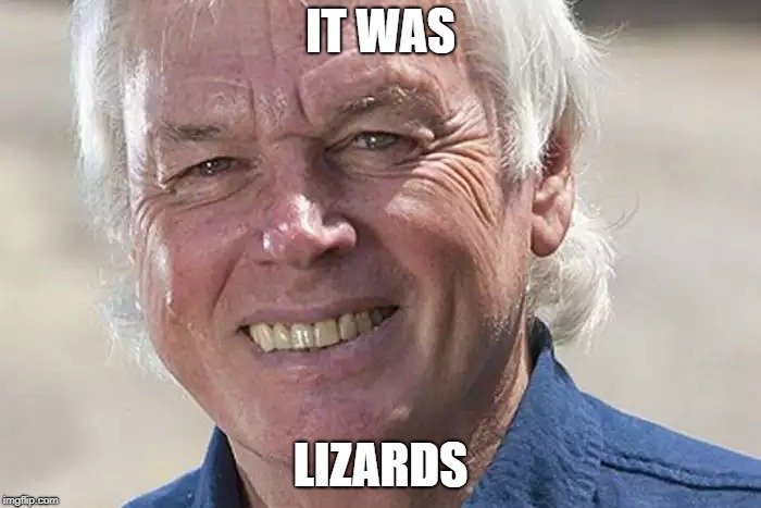 Lizards | IT WAS; LIZARDS | image tagged in lizard,shapeshifting lizard,conspiracy theory,memes,conspiracy theories,it's a conspiracy | made w/ Imgflip meme maker