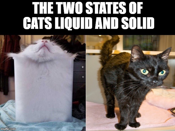the two states of cats | THE TWO STATES OF CATS LIQUID AND SOLID | image tagged in cats,liquid,solid,meme | made w/ Imgflip meme maker
