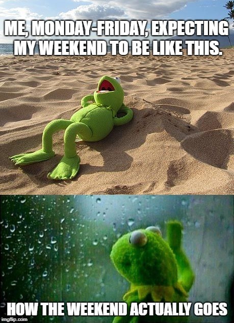 Frog Week Repost (Today is just like this!) | . | image tagged in frog week,kermit,the beach,muppets,rainy days | made w/ Imgflip meme maker