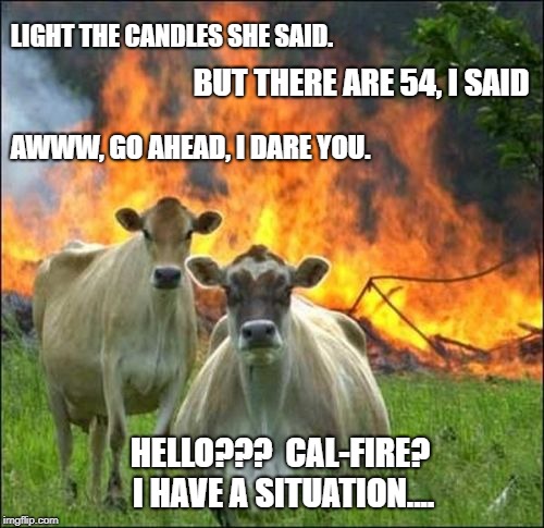 Evil Cows Meme | LIGHT THE CANDLES SHE SAID. BUT THERE ARE 54, I SAID; AWWW, GO AHEAD, I DARE YOU. HELLO???  CAL-FIRE? I HAVE A SITUATION.... | image tagged in memes,evil cows | made w/ Imgflip meme maker
