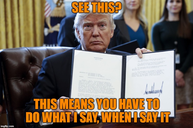 Donald Trump Executive Order | SEE THIS? THIS MEANS YOU HAVE TO DO WHAT I SAY, WHEN I SAY IT | image tagged in donald trump executive order | made w/ Imgflip meme maker