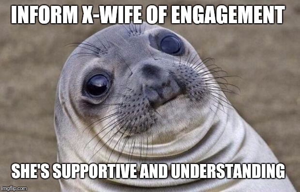 Awkward Moment Sealion Meme | INFORM X-WIFE OF ENGAGEMENT; SHE'S SUPPORTIVE AND UNDERSTANDING | image tagged in memes,awkward moment sealion | made w/ Imgflip meme maker