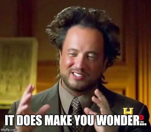 Ancient Aliens Meme | IT DOES MAKE YOU WONDER... | image tagged in memes,ancient aliens | made w/ Imgflip meme maker