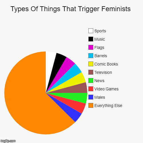 Types Of Things That Trigger Feminists | Everything Else, Males, Video Games, News, Television, Comic Books, Barrels, Flags, Music, Sports | image tagged in funny,pie charts | made w/ Imgflip chart maker