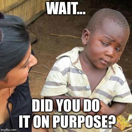 Third World Skeptical Kid Meme | WAIT... DID YOU DO IT ON PURPOSE? | image tagged in memes,third world skeptical kid | made w/ Imgflip meme maker