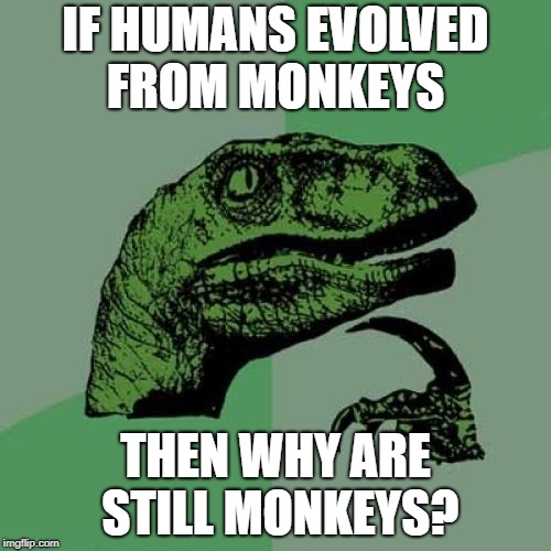 I feel like throwing feces at my textbooks | IF HUMANS EVOLVED FROM MONKEYS; THEN WHY ARE STILL MONKEYS? | image tagged in memes,philosoraptor,funny,evolution,history,monkeys | made w/ Imgflip meme maker