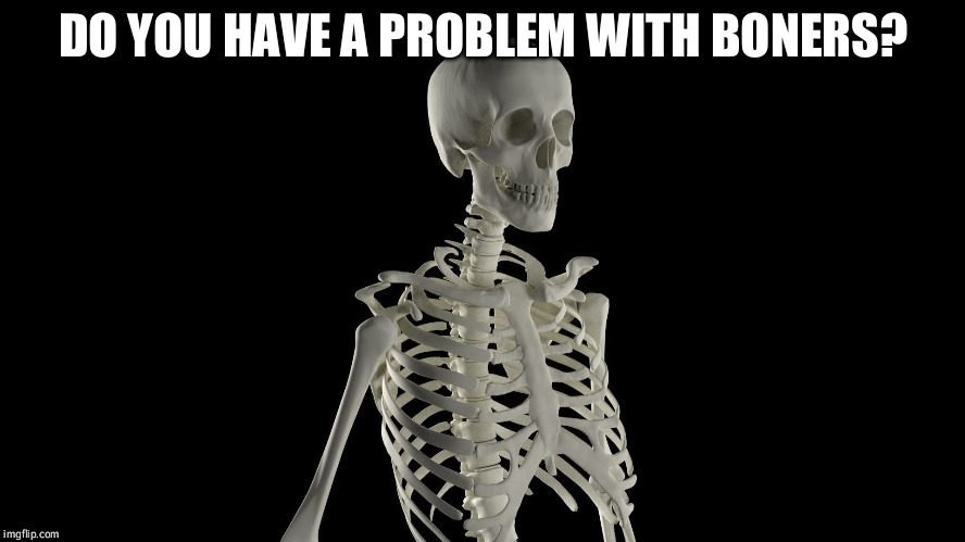DO YOU HAVE A PROBLEM WITH BONERS? | made w/ Imgflip meme maker