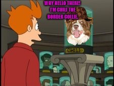 Fry and Chili | I HAD TO MAKE ANOTHER ONE OF THESE; BECAUSE MY OTHER ONE GOT DISAPPROVED. | image tagged in futurama fry,chili the border collie,dogs,border collie | made w/ Imgflip meme maker