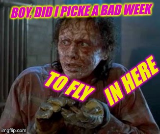 BOY, DID I PICKE A BAD WEEK TO FLY IN HERE | made w/ Imgflip meme maker