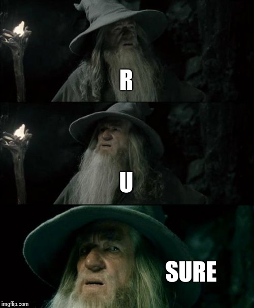 Confused Gandalf Meme | R; U; SURE | image tagged in memes,confused gandalf | made w/ Imgflip meme maker