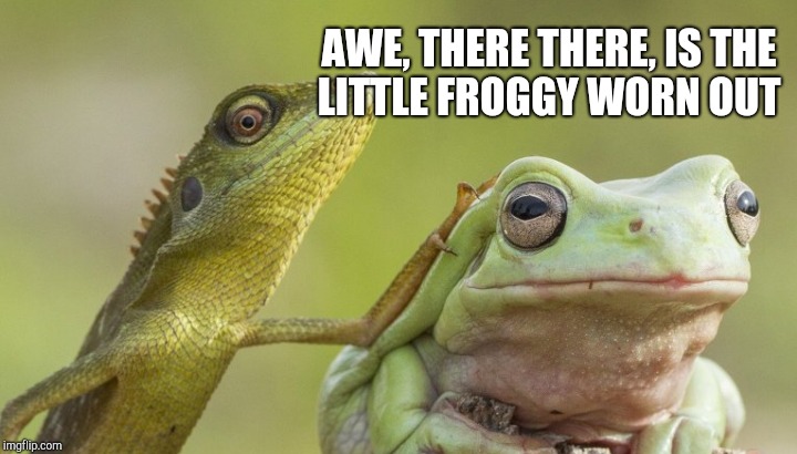 AWE, THERE THERE, IS THE LITTLE FROGGY WORN OUT | made w/ Imgflip meme maker