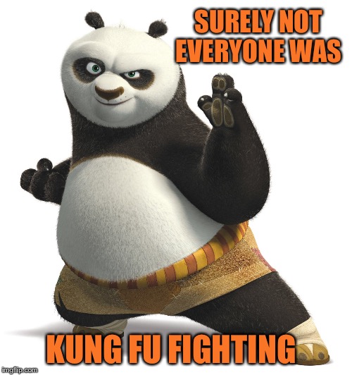 SURELY NOT EVERYONE WAS; KUNG FU FIGHTING | image tagged in meme,panda,music,sarcasm,drsarcasm,funny | made w/ Imgflip meme maker