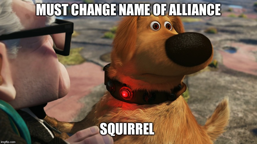 Up Dog | MUST CHANGE NAME OF ALLIANCE; SQUIRREL | image tagged in up dog | made w/ Imgflip meme maker