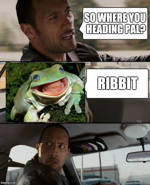 The rock driving - frog week | SO WHERE YOU HEADING PAL? RIBBIT | image tagged in memes,the rock driving,frog week | made w/ Imgflip meme maker