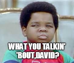 WHAT YOU TALKIN' 'BOUT,DAVID? | image tagged in arnold | made w/ Imgflip meme maker