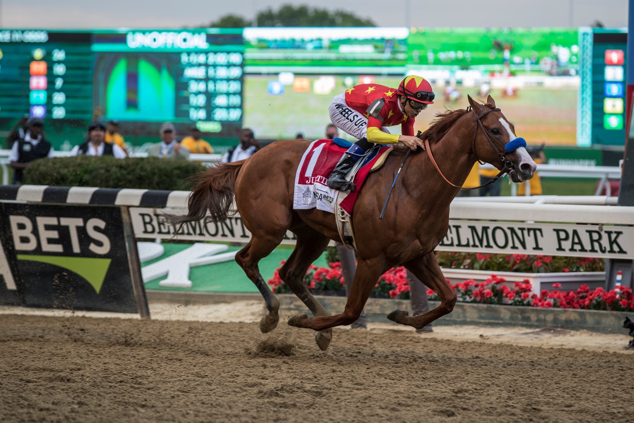 Justify Blank Meme Template