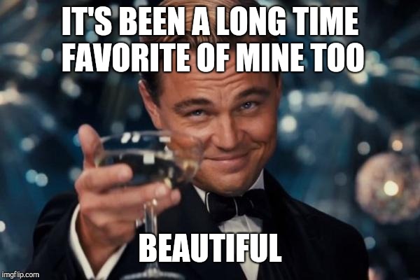 Leonardo Dicaprio Cheers Meme | IT'S BEEN A LONG TIME FAVORITE OF MINE TOO BEAUTIFUL | image tagged in memes,leonardo dicaprio cheers | made w/ Imgflip meme maker