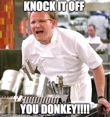 YOU DONKEY!!! | KNOCK IT OFF; YOU DONKEY!!!! | image tagged in memes,chef gordon ramsay,gordon ramsey,donkey,knock it off,you donkey | made w/ Imgflip meme maker