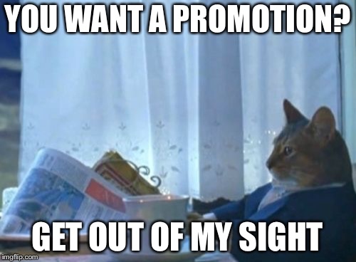 I Should Buy A Boat Cat Meme | YOU WANT A PROMOTION? GET OUT OF MY SIGHT | image tagged in memes,i should buy a boat cat | made w/ Imgflip meme maker
