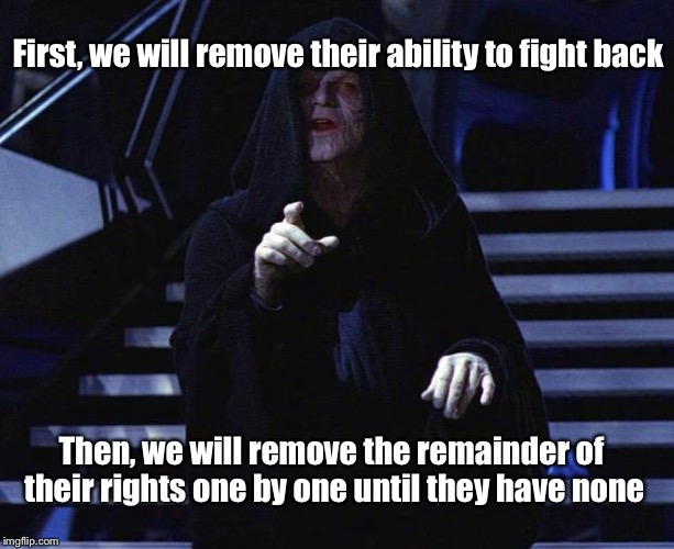 Palpatine | First, we will remove their ability to fight back; Then, we will remove the remainder of their rights one by one until they have none | image tagged in palpatine | made w/ Imgflip meme maker
