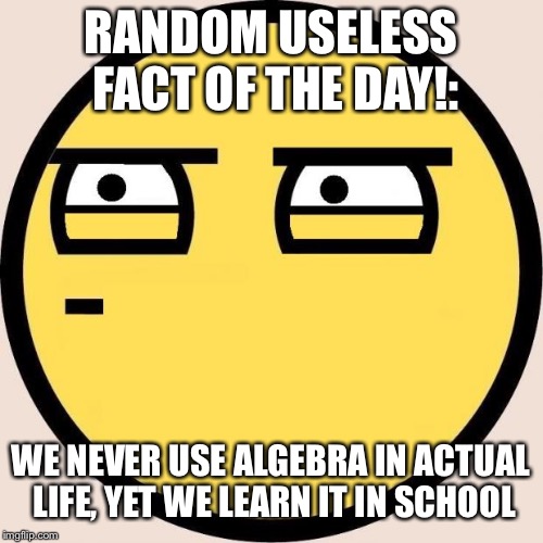 Random, Useless Fact of the Day | RANDOM USELESS FACT OF THE DAY!:; WE NEVER USE ALGEBRA IN ACTUAL LIFE, YET WE LEARN IT IN SCHOOL | image tagged in random useless fact of the day | made w/ Imgflip meme maker